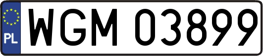 WGM03899