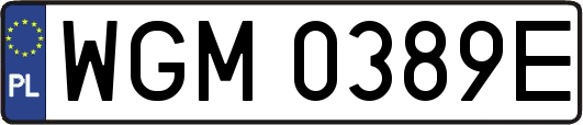 WGM0389E