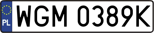 WGM0389K