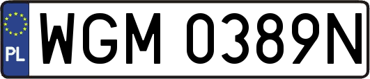 WGM0389N