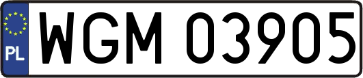 WGM03905