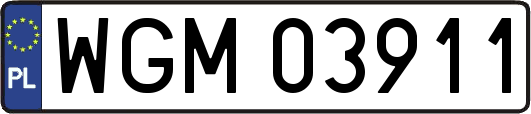 WGM03911