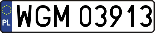 WGM03913