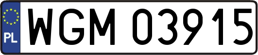 WGM03915