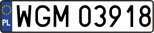 WGM03918