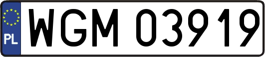 WGM03919