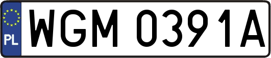WGM0391A