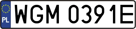 WGM0391E
