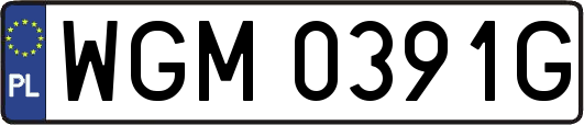 WGM0391G