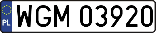 WGM03920