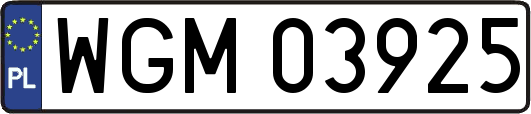 WGM03925