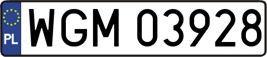 WGM03928