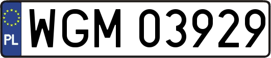 WGM03929