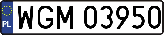WGM03950