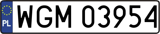 WGM03954