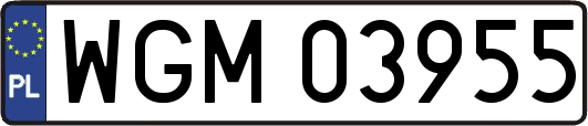 WGM03955