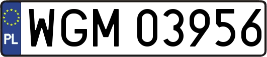WGM03956