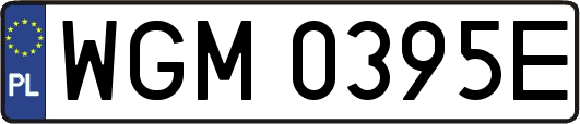 WGM0395E