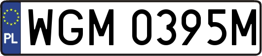 WGM0395M