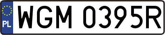 WGM0395R