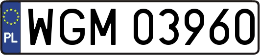 WGM03960