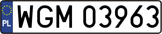 WGM03963