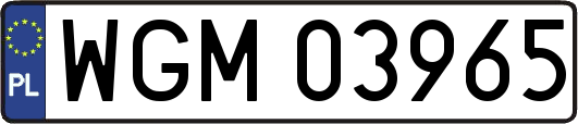 WGM03965