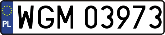 WGM03973