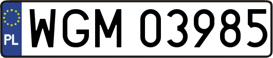WGM03985