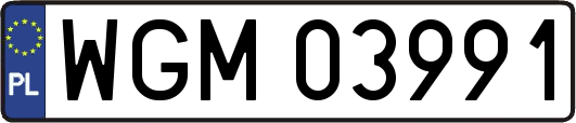 WGM03991