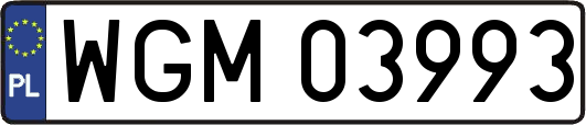WGM03993