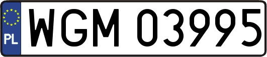 WGM03995