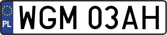 WGM03AH