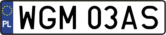 WGM03AS