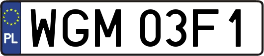 WGM03F1