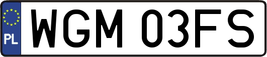 WGM03FS