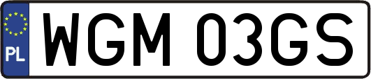 WGM03GS