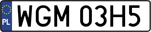 WGM03H5