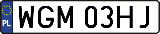 WGM03HJ