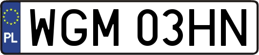 WGM03HN