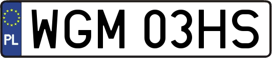 WGM03HS