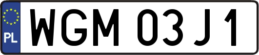 WGM03J1
