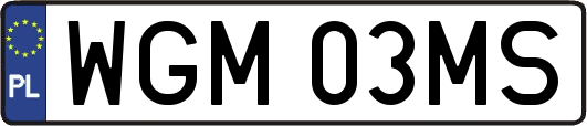 WGM03MS