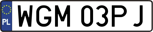 WGM03PJ