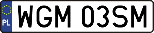WGM03SM