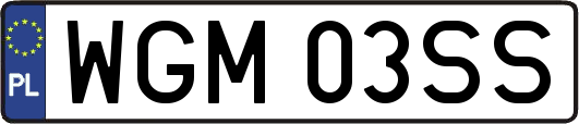 WGM03SS