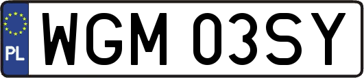 WGM03SY
