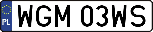 WGM03WS