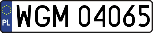 WGM04065