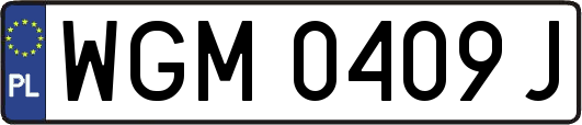 WGM0409J